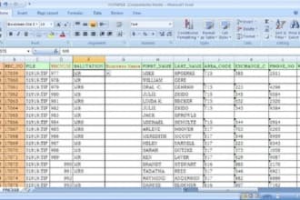 do excel data processing