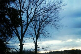 take a beautiful picture of scenery