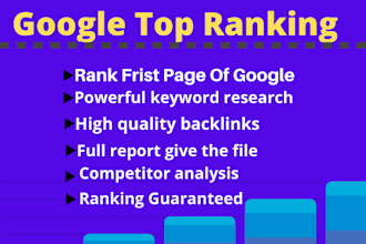 provide full SEO service to get top rank on google
