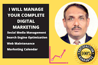 create strategic  digital  marketing  consulting