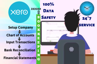 provide bookkeeping service using xero