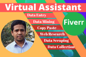 do data entry in 24 hours