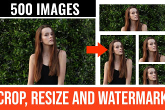 crop, resize and watermark 500 images in bulk