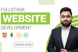 develop a modern full stack custom website for your business