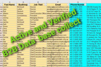 do ceo,coo,owner, director,founder b2b lead generation