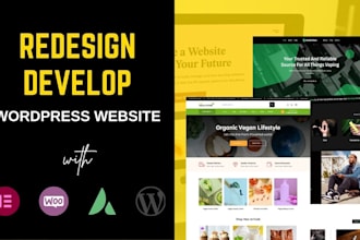 redesign and replicate modern wordpress websites with SEO optimization