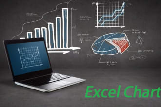 do data entry make excel graphs charts and excel formulas