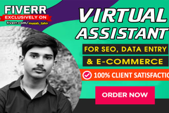 be your sound virtual assistant for SEO,data entry,ecommerce