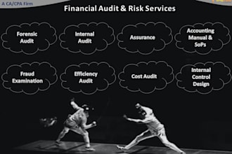 perform internal, external and forensic audit being a ca
