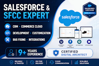 be your salesforce developer and consultant