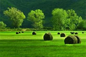 make itinerary for your stay in Croatia and help you to spend there a great time
