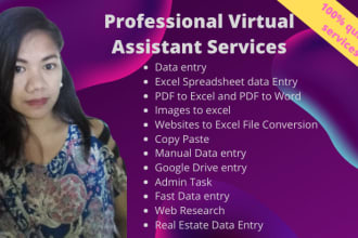 be your virtual assistant for data entry for excel,google drive and web research
