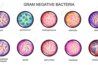 write microbiology articles and blog posts