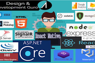 develop mern stack data driven websites