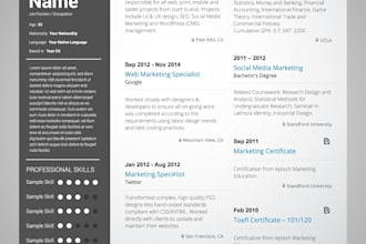 write expert resume and cover letters