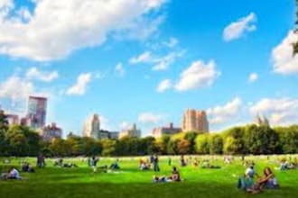 hand out flyers in central park NYC