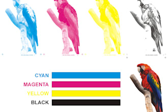 do color separation for screen printing, rgb to cmyk,pantone