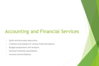 provide financial and accounting services