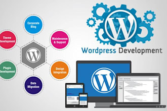 design and develop your desired wp site with perfection