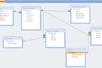 designs the database and queries