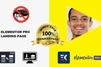 design responsive wordpress landing page using elementor landing page