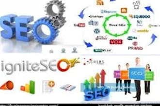 provide 15 direct links from PR 1 to 7 that will lead to your website