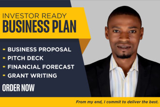 write a complete business plan for investors and loans