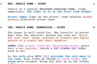 professionally breakdown your short or feature length script