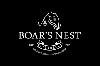 create creative boutique vineyard logo design
