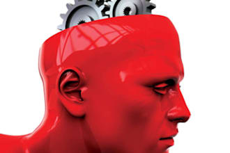 be your software hardware programming or networking engineer