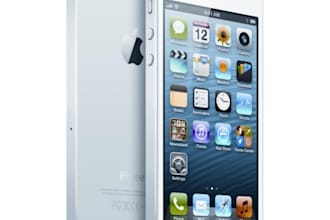 teach you the basics of iPhone programming for 30 mins