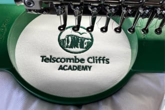 do perfect embroidery digitizing dst pes in 1 hour