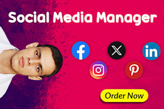 be your social media manager, facebook, instagram, twitter x