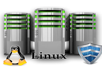 configure your vps with domains, dns, ssl, and security