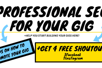 do professional SEO of your gig