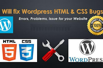 solve wordpress site theme issues