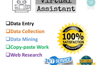 be your virtual assistant for data entry, data mining, copy paste,  web research