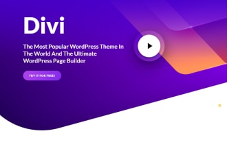 be your divi wordpress designer