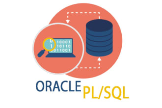 develop oracle forms, reports, plsql code and database