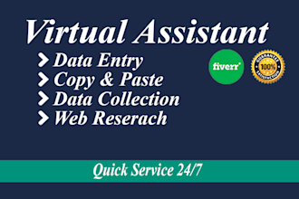 be your professional virtual assistant