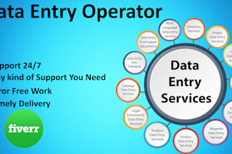 work as your data entry operator or virtual assistant VA