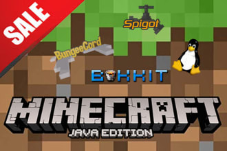 setup any minecraft server with your own mods and plugins