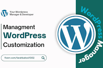 edit, update, manage and create wordpress website
