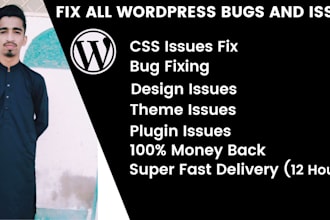 fix css issues, bugs, errors of wordpress website or blog