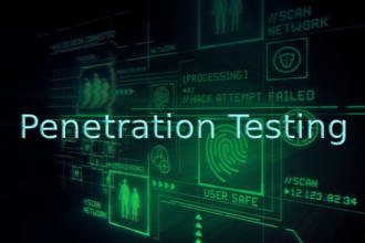 do VA and penetration testing of your web,network,app
