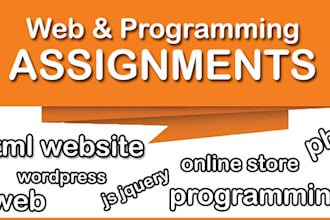 do your web and programming assignments
