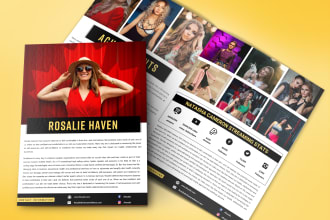 design amazing looking social media press kit for you