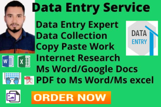 do data entry,copy paste,data collection and excel data entry
