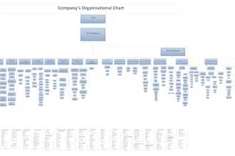 provide organizational charts also can link with excel and visio integration