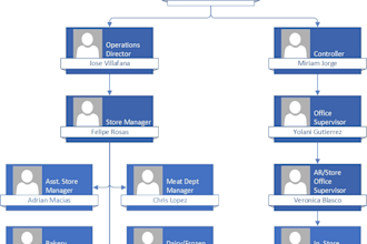 organogram, organizational charts, excel n visio integration, architecture plans